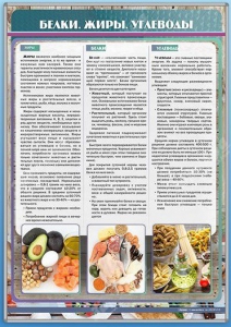 Стенд "Белки. Жиры. Углеводы" - fgospostavki.ru - Рязань