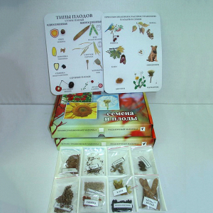 Коллекция "Семена и плоды с раздаточным материалом" - fgospostavki.ru - Рязань