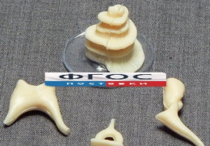 Модель "Косточки слуховые" - fgospostavki.ru - Рязань