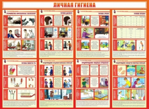 Стенд "Личная гигиена" - fgospostavki.ru - Рязань