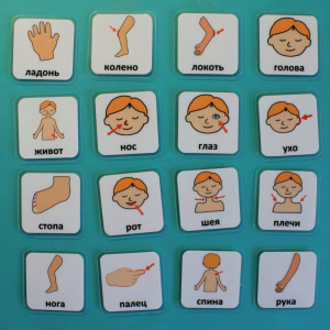 Набор карточек "Части тела" - fgospostavki.ru - Рязань