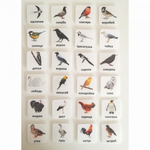 Набор карточек "ПТИЦЫ" - fgospostavki.ru - Рязань