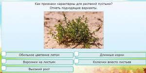 Интерактивные курсы. Окружающий мир 3 класс . Базовый. - fgospostavki.ru - Рязань