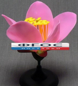 Модель "Цветок персика" - fgospostavki.ru - Рязань