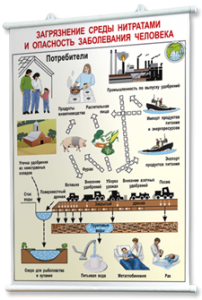 Плакаты по общей экологии для оформления кабинета. - fgospostavki.ru - Рязань