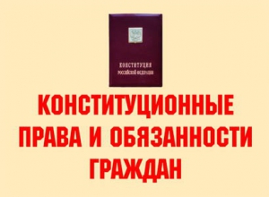 Комплект плакатов "Конституционные права и обязанности граждан" - fgospostavki.ru - Рязань