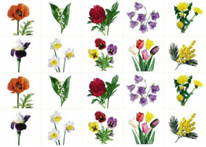 Комплект карточек "Запоминай, играй, считай" - Цветы - fgospostavki.ru - Рязань