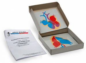 Модель-аппликация "Этапы эволюции сердца у позвоночных" (набор из 4 карт) - fgospostavki.ru - Рязань