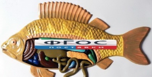 Модель барельефная "Внутреннее строение рыбы" - fgospostavki.ru - Рязань