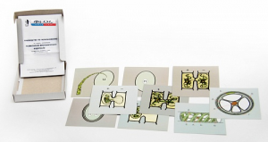 Модель-аппликация "Размножение многоклеточной водоросли" (набор из 9 карт) - fgospostavki.ru - Рязань