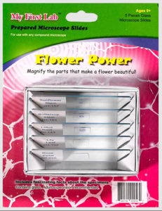 Набор микропрепаратов для микроскопа №6 «Цветы» - fgospostavki.ru - Рязань