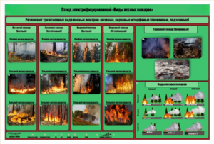 Стенд-планшет электрифицированный «Виды лесных пожаров»  - fgospostavki.ru - Рязань