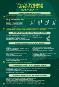 Стенд "Правила выполнения лабораторных работ по биологии" Вариант 1 - fgospostavki.ru - Рязань