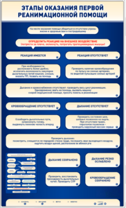 Электрифицированный стенд-тренажер "Этапы оказания первой реанимационной помощи" - fgospostavki.ru - Рязань