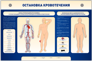 Электрифицированный стенд-тренажер "Остановка кровотечения" - fgospostavki.ru - Рязань