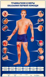 Электрифицированный стенд-тренажер "Травматизм и меры оказания первой помощи" - fgospostavki.ru - Рязань