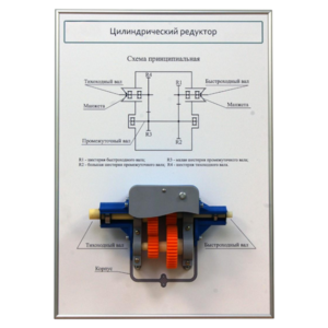 Плакат планшет с демонстрационной моделью «Цилиндрический редуктор» - fgospostavki.ru - Рязань