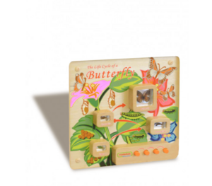 Панель «Жизненный цикл бабочки» - fgospostavki.ru - Рязань