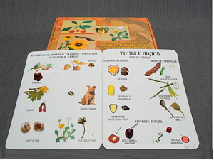 Коллекция "Семена и плоды" - fgospostavki.ru - Рязань