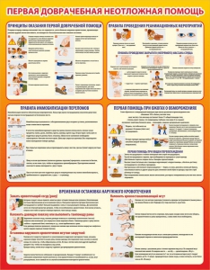 Стенд "Первая доврачебная неотложная помощь" - fgospostavki.ru - Рязань