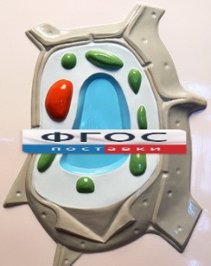 Модель барельефная "Растительная клетка" - fgospostavki.ru - Рязань