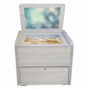 Сундучок логопеда "Антошка" (песочница, игры, материалы) - fgospostavki.ru - Рязань