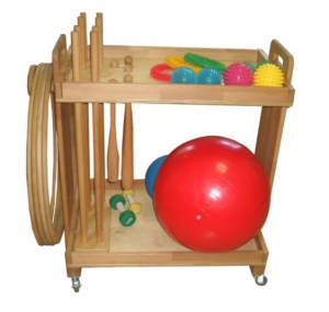 Тележка с гимнастическими снарядами (взрослая комплектация) - fgospostavki.ru - Рязань