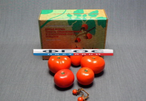 Набор муляжей "Дикая форма и культурные сорта томатов" - fgospostavki.ru - Рязань