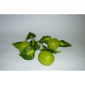 Ветка муляжей "Лайм" - fgospostavki.ru - Рязань