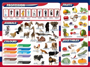 Стенд "Цвета, животные, профессии, фрукты, овощи" - fgospostavki.ru - Рязань