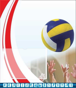 Стенд "Спортивный (волейбол)" - fgospostavki.ru - Рязань