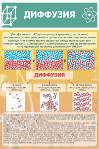 Стенд "Диффузия" - fgospostavki.ru - Рязань