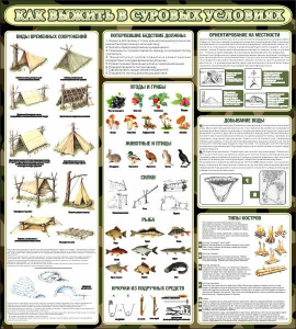 Стенд информационный "Как выжить в суровых условиях" - fgospostavki.ru - Рязань