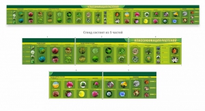 Стенд "Классификация растений" - fgospostavki.ru - Рязань