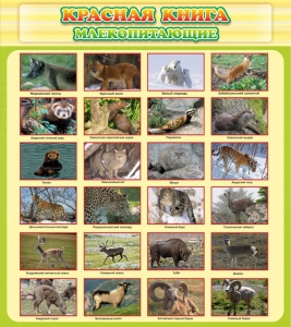 Стенд "Красная книга - млекопитающие" - fgospostavki.ru - Рязань