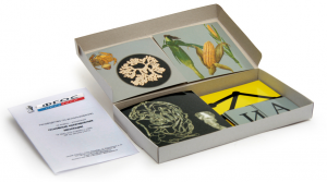 Модель-аппликация "Основные направления эволюции" (набор из 33 карт) - fgospostavki.ru - Рязань