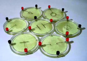 Демонстрационный комплект «Силовые линии электрического поля разных систем зарядов» - fgospostavki.ru - Рязань