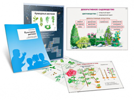 Комплект кодотранспарантов "Культурные растения" - fgospostavki.ru - Рязань