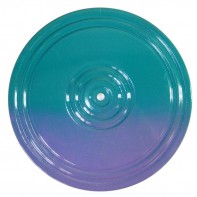 Диск здоровья (многоцветный) - fgospostavki.ru - Рязань