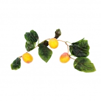 Ветка муляжей "Абрикосы" - fgospostavki.ru - Рязань