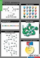 Комплект таблиц. Биология. Химия клетки. - fgospostavki.ru - Рязань