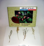 Гербарий "Культурные растения" (28 видов) - fgospostavki.ru - Рязань