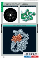 Комплект таблиц. Химия. Белки и нуклеиновые кислоты. - fgospostavki.ru - Рязань