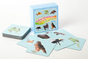 Набор магнитных карточек "Устный счет" (фон голубой) - fgospostavki.ru - Рязань