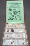 Коллекция "Многообразие раковин моллюсков" - fgospostavki.ru - Рязань