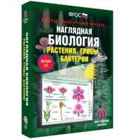 Наглядная биология. 6 класс. Растения. Грибы. Бактерии - fgospostavki.ru - Рязань