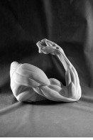 Рука согнутая в локте (гипс) - fgospostavki.ru - Рязань