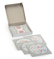 Модель-аппликация "Деление клетки" (набор из 5 карт) - fgospostavki.ru - Рязань