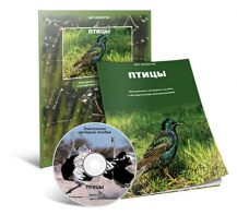 Электронное наглядное пособие «Птицы» - fgospostavki.ru - Рязань