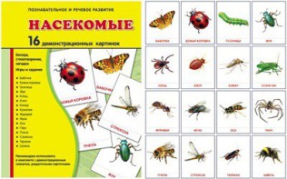 Демонстрационные карточки "Насекомые" - fgospostavki.ru - Рязань